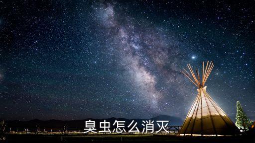 臭蟲怎么消滅