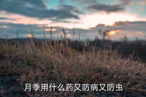 月季用什么牌子的農藥,什么牌子的農藥喝了會死