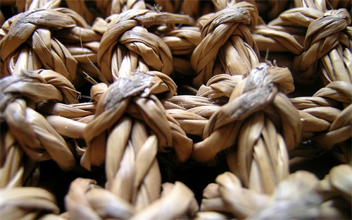 農(nóng)藥物理特性是什么原理,淘米水去農(nóng)藥的原理是什么